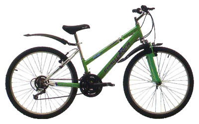 Велосипед Challenger Alpina