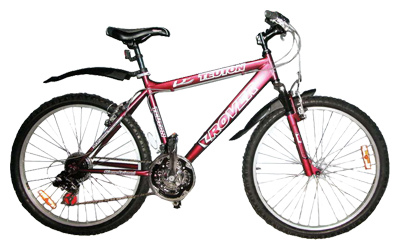 Велосипед Rover Teuton