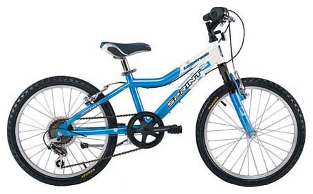 Велосипед SPRINT Loop Track 20 Front Susp