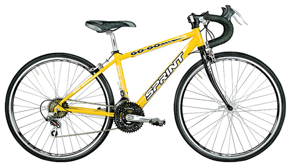 Велосипед SPRINT Go-Go 24