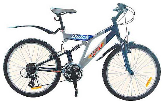 Велосипед REGGY RG24B25101