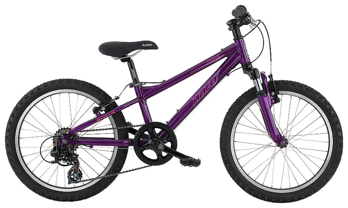 Велосипед Haro Flightline 20 (2009)