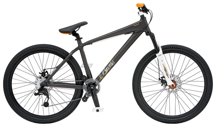 Велосипед Giant Brass 2 (2009)