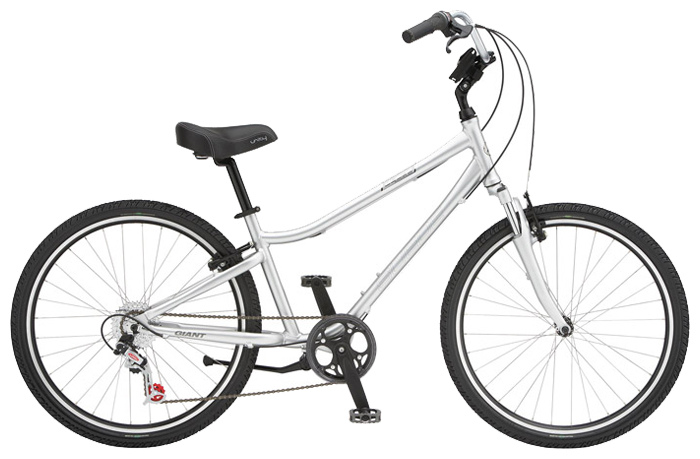 Велосипед Giant Suede (2008)