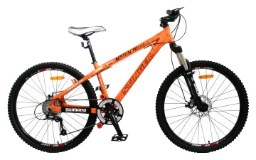 Велосипед Stinger Х21277 Action Pro 2.2