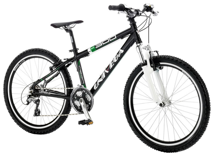 Велосипед UNIVEGA Alpina HT-300 (2009)