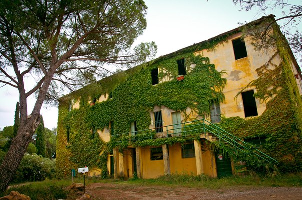 Зображення